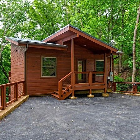 New Cozy Mountain Cabin Hot Tub Near Downtown ガトリンバーグ エクステリア 写真
